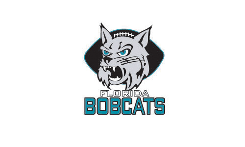Ժɫʵףϻ^ĈD鄓(chung)BOBCATS(bio)־O(sh)Ӌ(j)