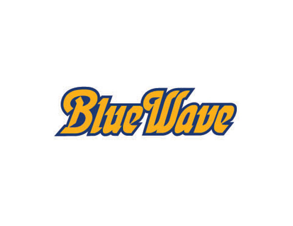 Bluewave{(ln)ɫ۞ưLOGOO(sh)Ӌ/