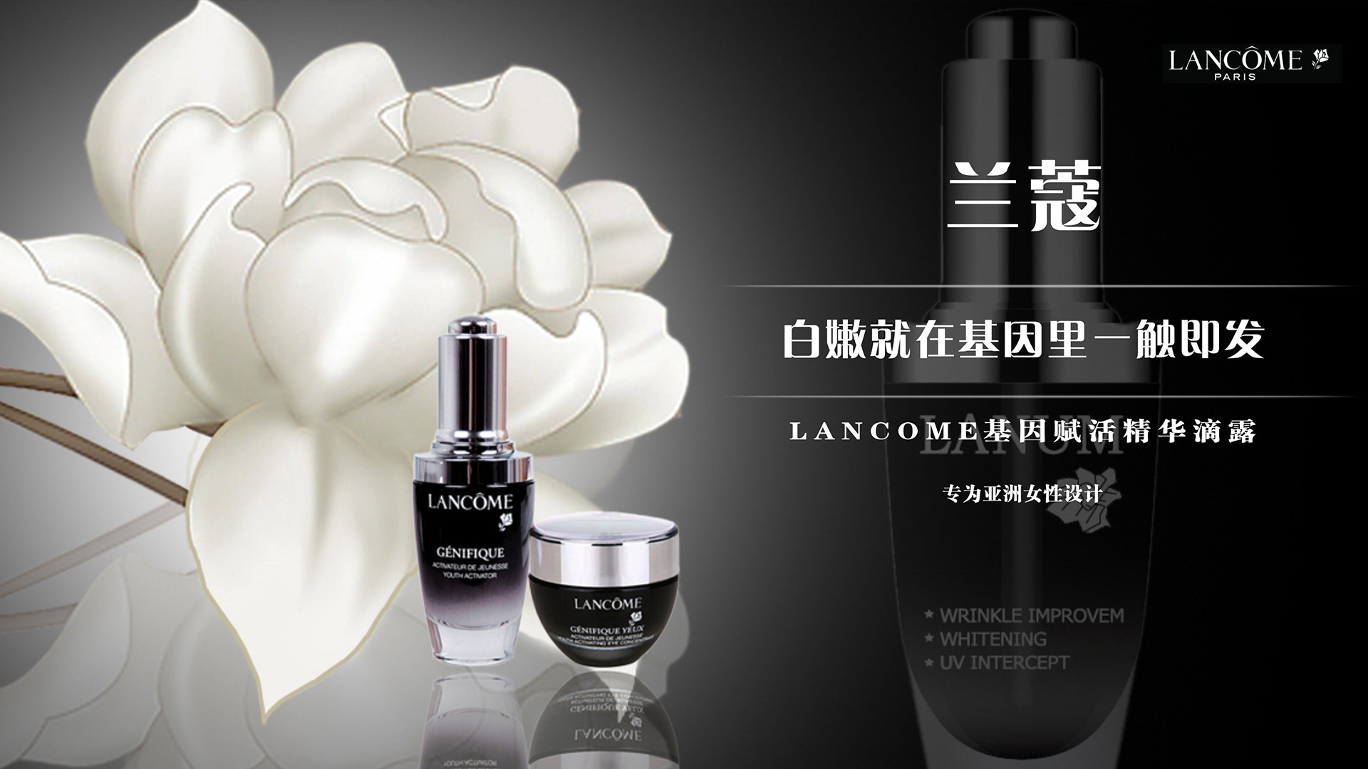 LANCOMEmޢaƷbOӋ/